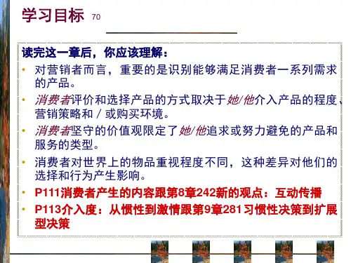消费者行为学动机与价值观