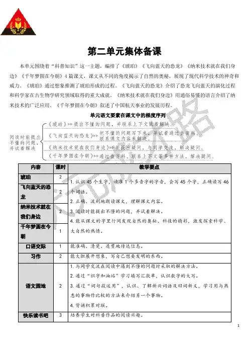 琥珀【教案】