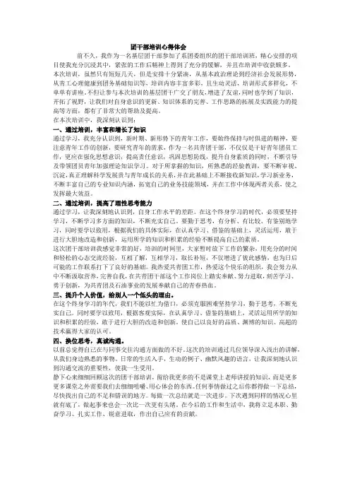 团干部培训心得体会