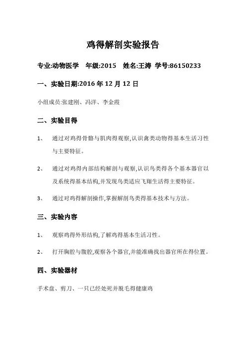 鸡得解剖实验报告