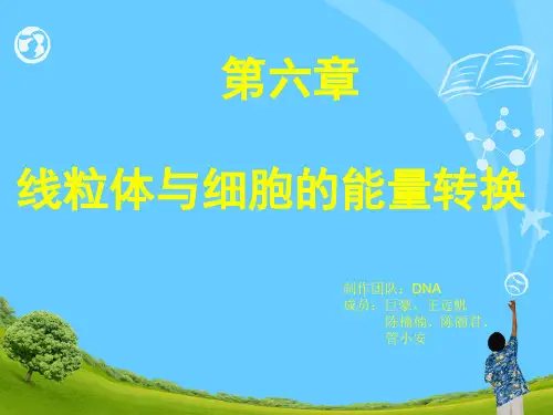 医用细胞生物学第六章PPT课件