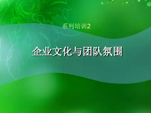 企业文化与团队氛围