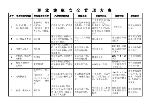 职业健康安全管理方案 2