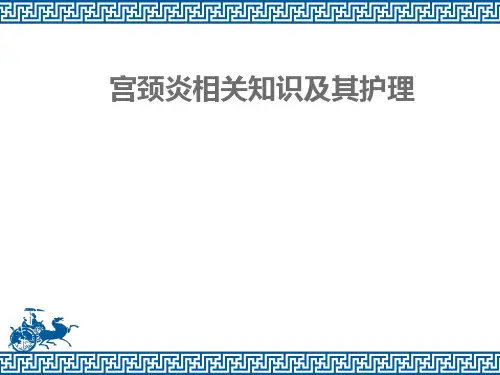 宫颈炎相关知识及其护理  ppt课件