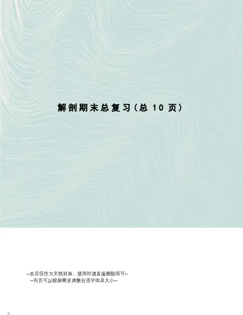 解剖期末总复习