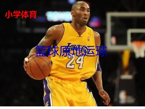 篮球原地运球PPT课件