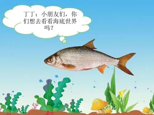 浙美版小学美术 15 热带鱼乐园 课件 (3)