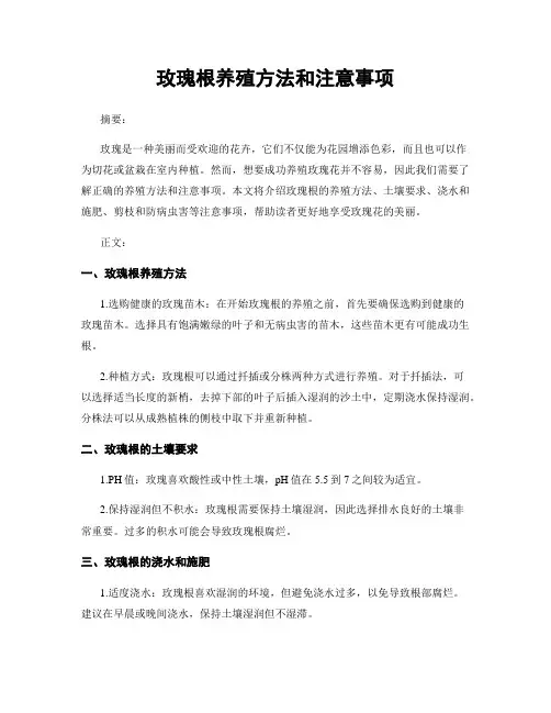玫瑰根养殖方法和注意事项