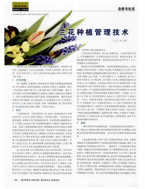 兰花种植管理技术