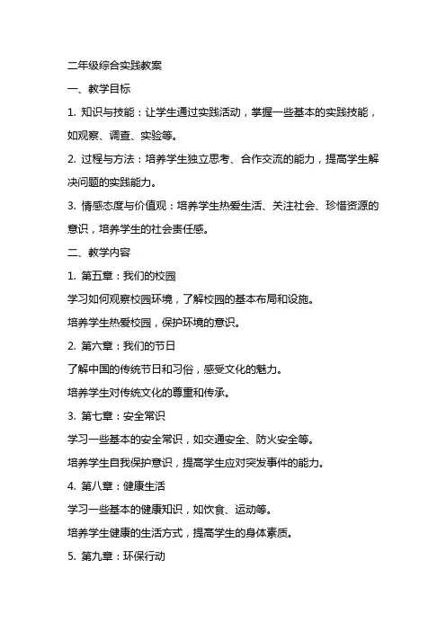 二年级综合实践教案