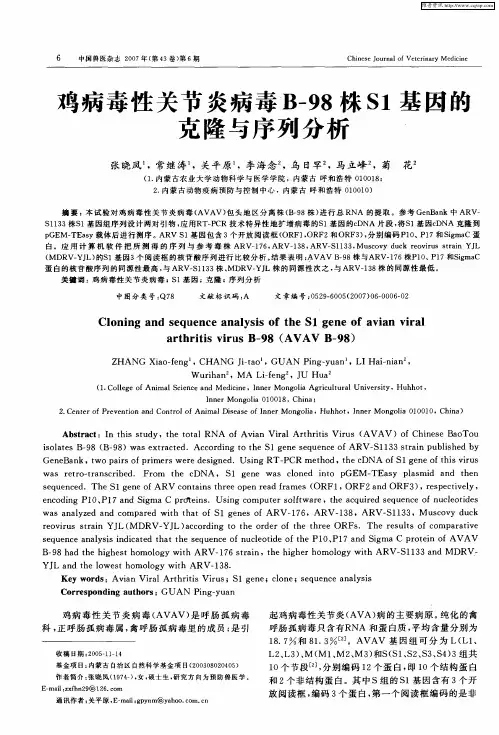 鸡病毒性关节炎病毒B-98株S1基因的克隆与序列分析