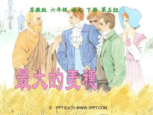 《最大的麦穗》课件PPT