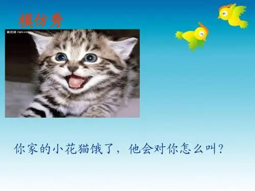 苏教版四年级语文上册习作4课件