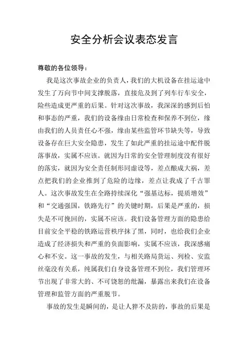 安全会议表态发言