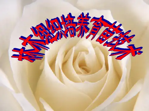组织培养育苗技术