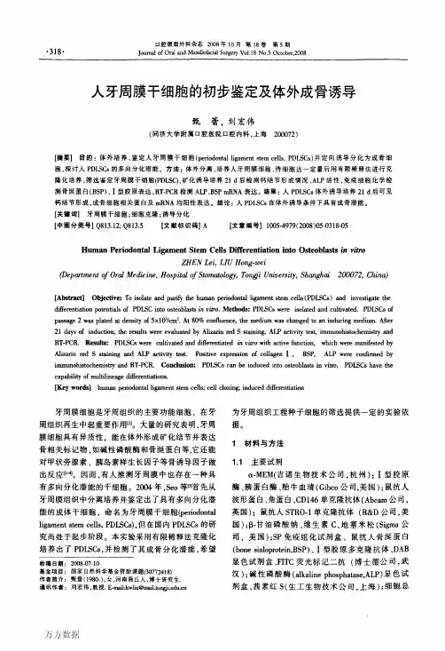 人牙周膜干细胞的初步鉴定及体外成骨诱导