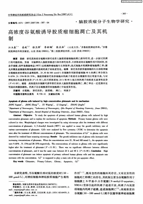 高浓度谷氨酸诱导胶质瘤细胞凋亡及其机制
