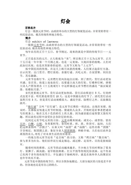 成都灯会