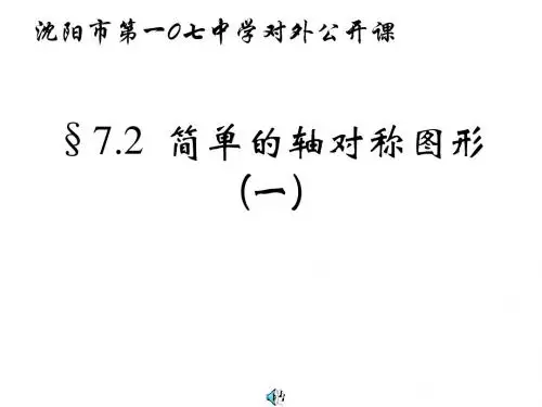 简单的对称轴图形3(新编教材)