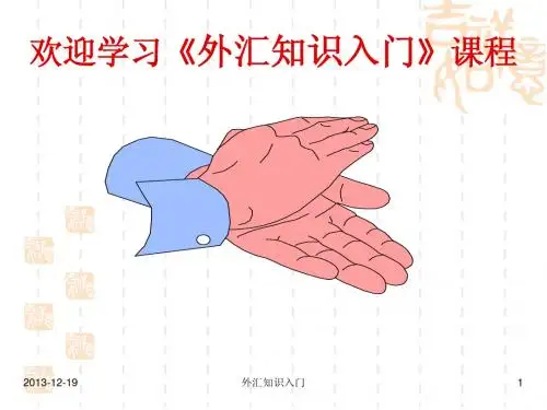 《外汇知识入门》(新) ppt.