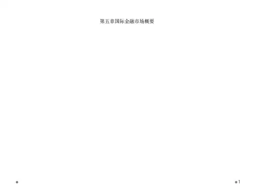 第五章国际金融市场概要