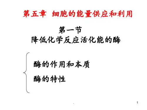 一轮复习第五章细胞的能量供应和利用PPT课件