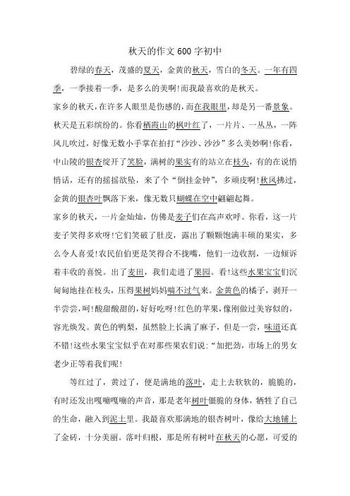 秋天的作文600字初中