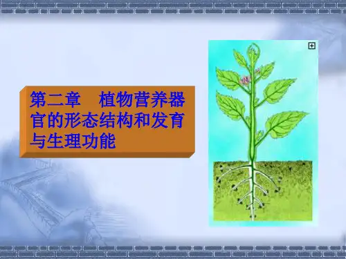 植物生物学第二章