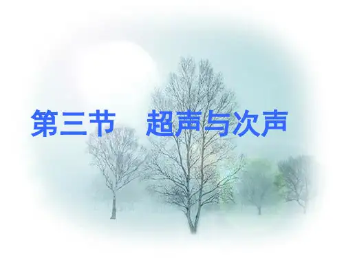 超声与次声PPT课件精编版