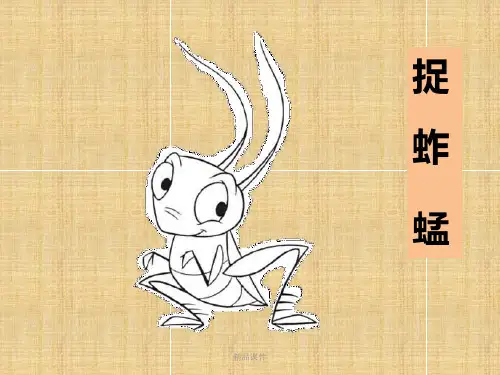 幼儿园大班科学探究活动设计《捉蚱蜢》