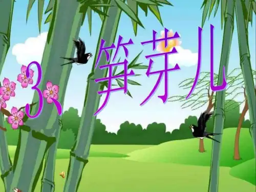 《笋芽儿》课件》PPT课件
