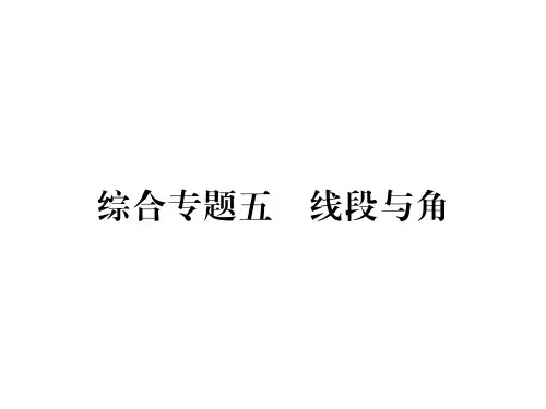 2018年秋七年级数学华师大上册课件:期末复习攻略 综合专题五(共24张PPT)