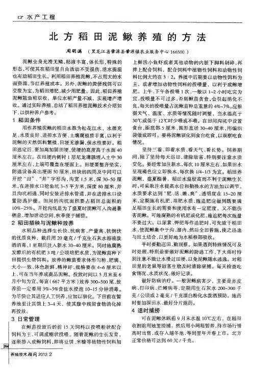 北方稻田泥鳅养殖的方法