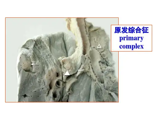 病理学标本合集