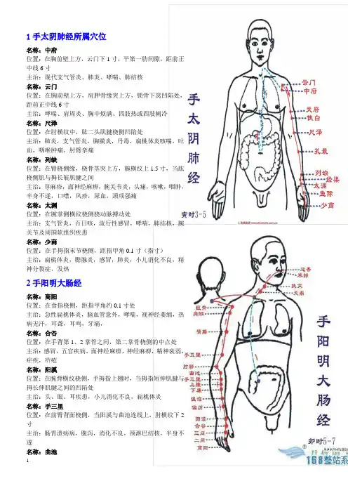 12经络所属穴位定位及功效