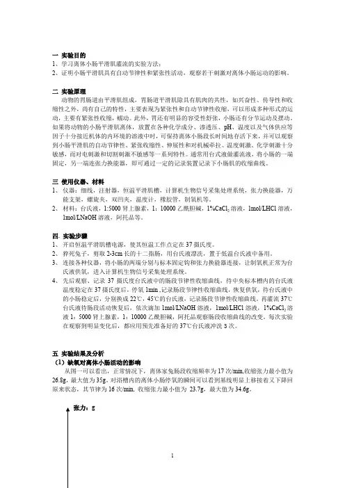 离体小肠平滑肌生理特性