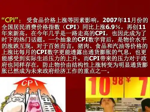 【PPT】受食品价格上涨等因素影响.
