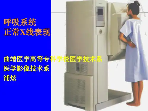 1-正常肺部