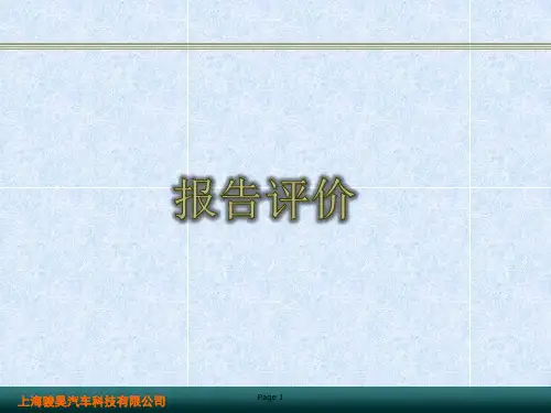 报告评价