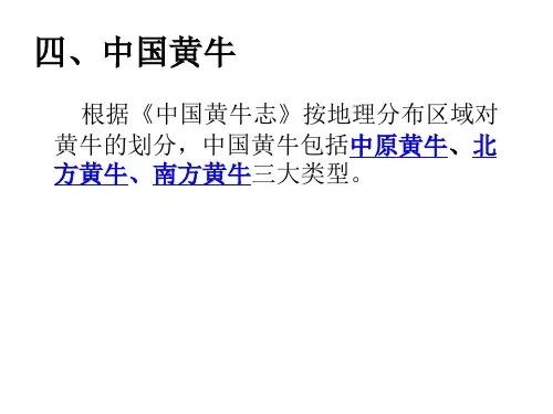 中国黄牛品种(四)