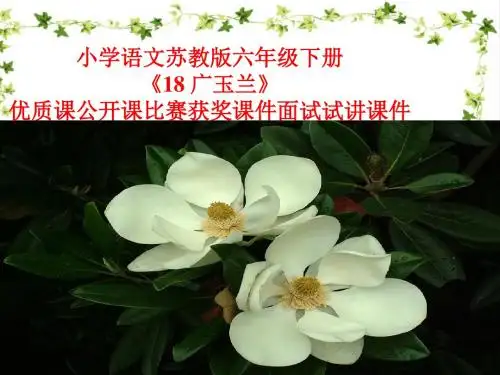 小学语文苏教版六年级下册《18 广玉兰》优质课公开课比赛获奖课件面试试讲课件