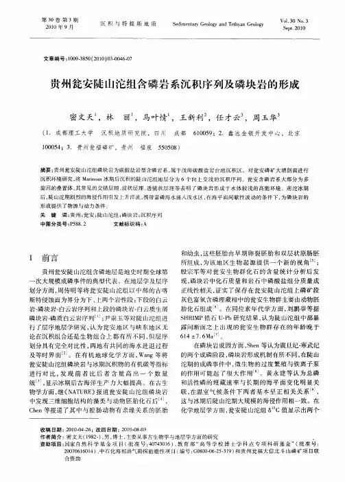 贵州瓮安陡山沱组含磷岩系沉积序列及磷块岩的形成