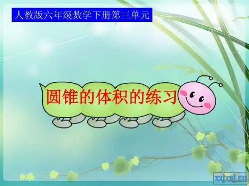 2013审定最新版圆锥的体积练习