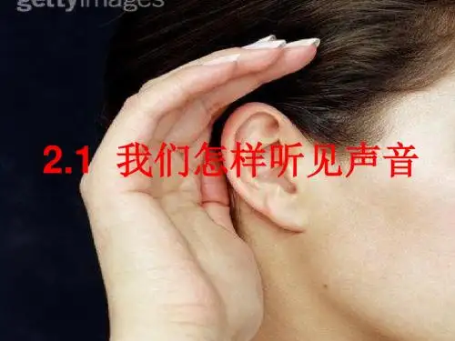 2.1我们怎样听见声音(PPT)