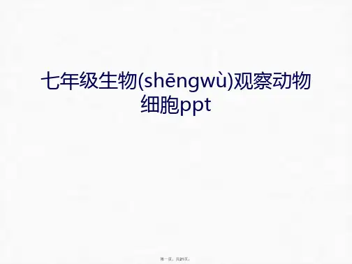 最新七年级生物观察动物细胞ppt电子教案精品课件