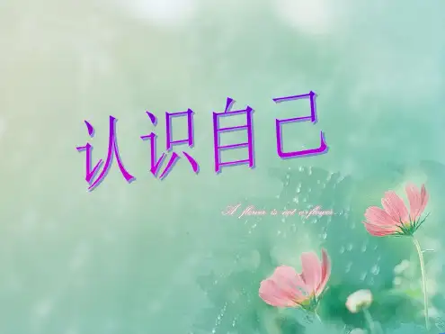 高中生心理健康教育第二章第一节认识自己.ppt