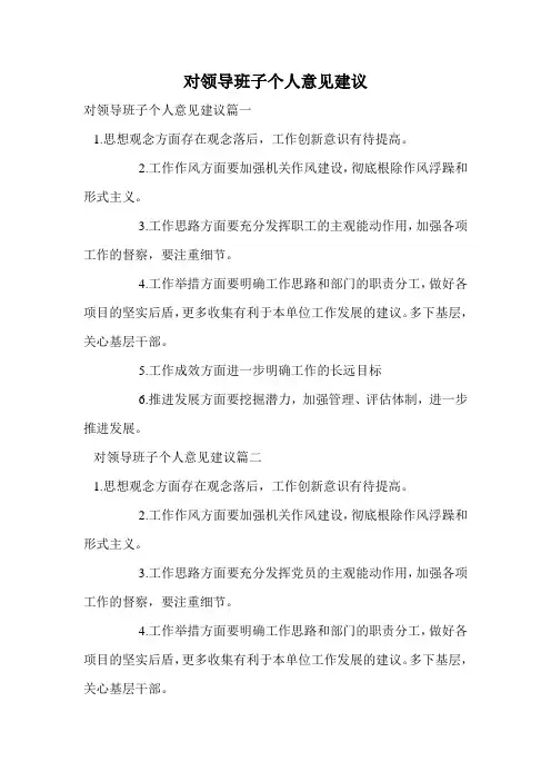 对领导班子个人意见建议.doc