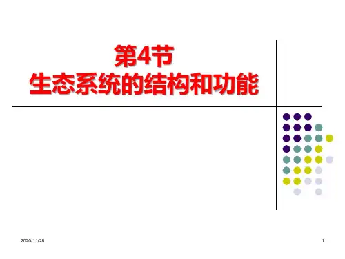 浙教版九年级下册科学《生态系统的结构和功能》精品PPT教学课件