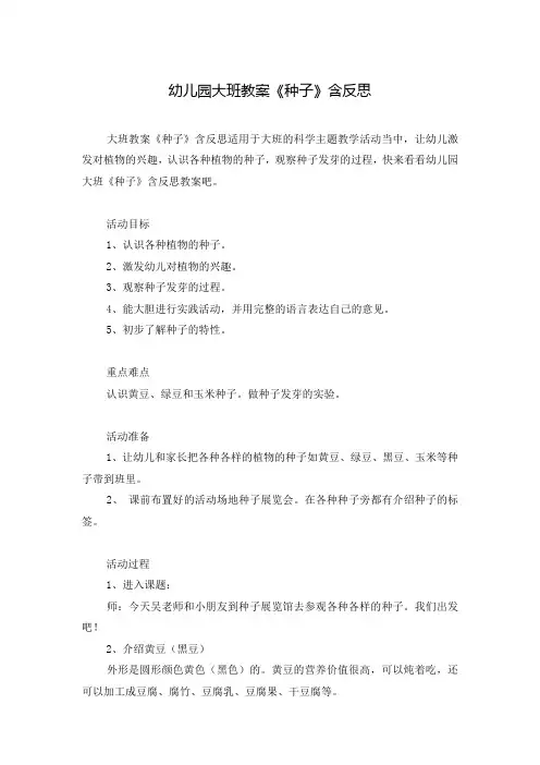 幼儿园大班教案《种子》含反思
