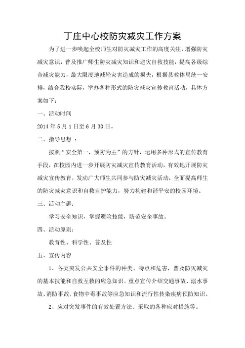 防灾减灾活动方案)